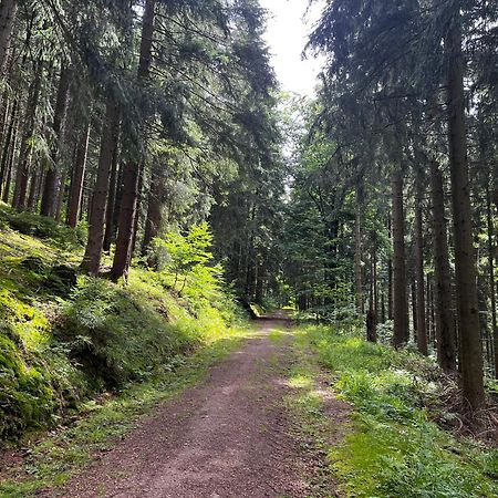 Gaestehaus Im Erzgebirge Zwoenitz Luaran gambar
